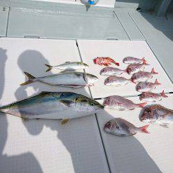 フィッシングボートACE(エース) 釣果