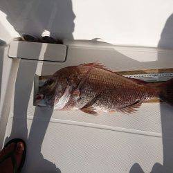 フィッシングボートACE(エース) 釣果