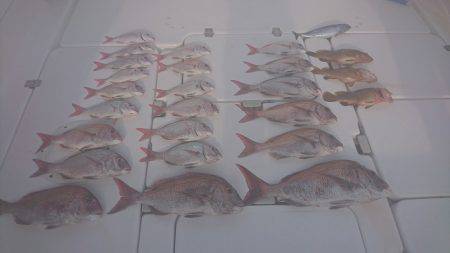 フィッシングボートACE（エース） 釣果