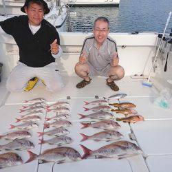 フィッシングボートACE（エース） 釣果