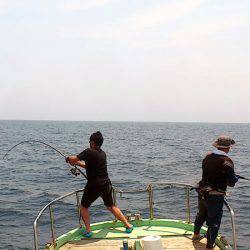 やまてい丸 釣果