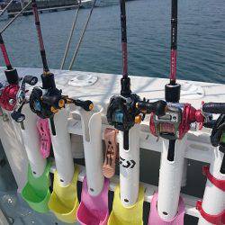 フィッシングボートACE（エース） 釣果