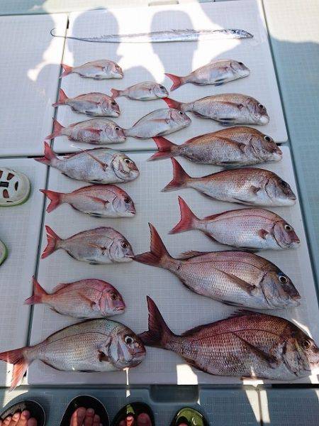 フィッシングボートACE（エース） 釣果