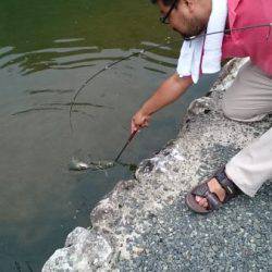 フィッシングエリア帝釈 釣果