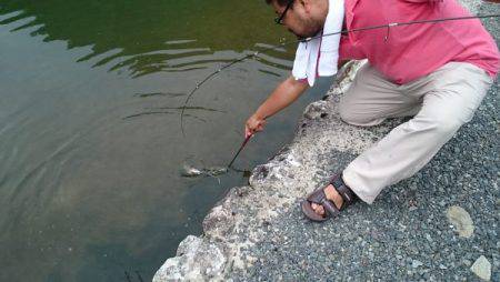 フィッシングエリア帝釈 釣果