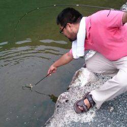 フィッシングエリア帝釈 釣果