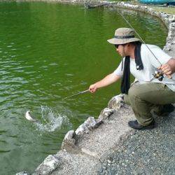 フィッシングエリア帝釈 釣果