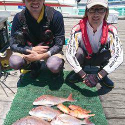 シードリーム 釣果