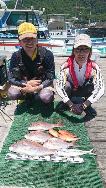 シードリーム 釣果