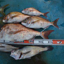 アジアマリンサービス 釣果