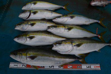 アジアマリンサービス 釣果