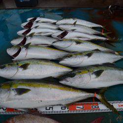 アジアマリンサービス 釣果