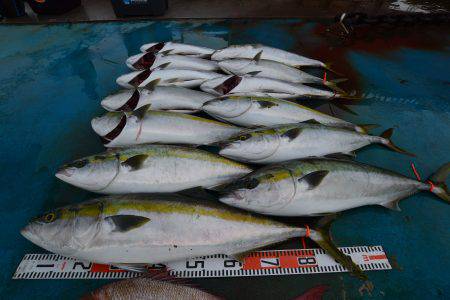 アジアマリンサービス 釣果