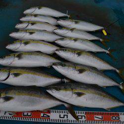 アジアマリンサービス 釣果