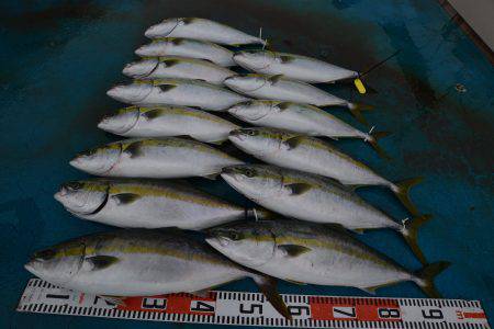 アジアマリンサービス 釣果