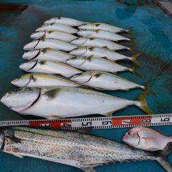 アジアマリンサービス 釣果