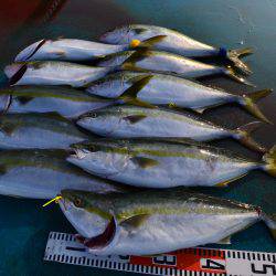 アジアマリンサービス 釣果