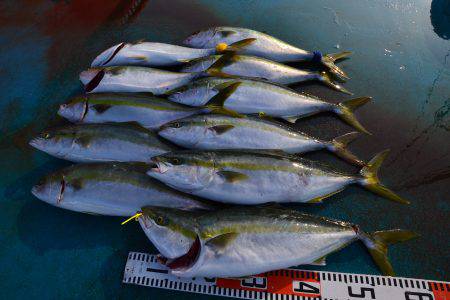 アジアマリンサービス 釣果