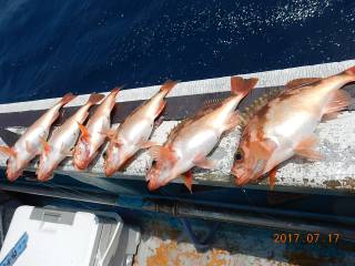 作十丸 釣果