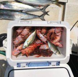 さぶろう丸 釣果