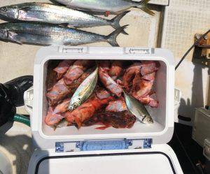 さぶろう丸 釣果