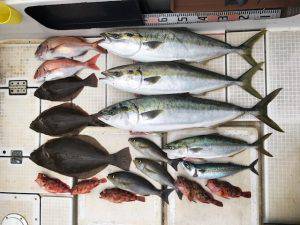 さぶろう丸 釣果