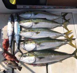 さぶろう丸 釣果