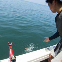 Fisherman Dreams DI 釣果