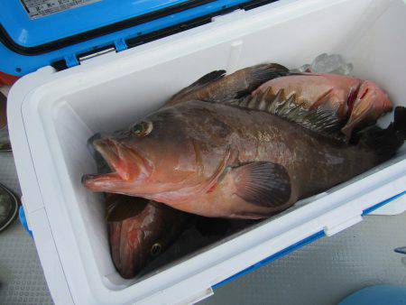 Fisherman Dreams DI 釣果