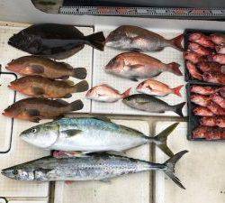 さぶろう丸 釣果