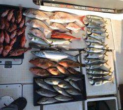 さぶろう丸 釣果