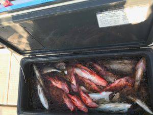 さぶろう丸 釣果