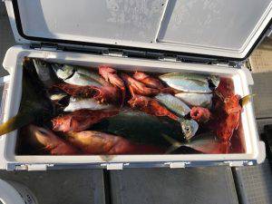 さぶろう丸 釣果