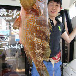 Fisherman Dreams DI 釣果