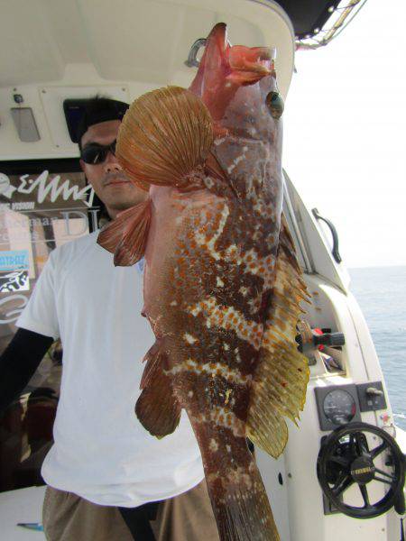 Fisherman Dreams DI 釣…