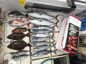 さぶろう丸 釣果