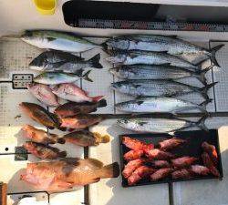 さぶろう丸 釣果