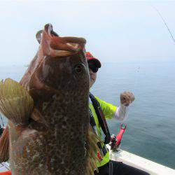 Fisherman Dreams DI 釣果