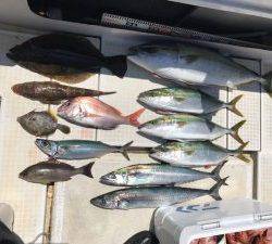 さぶろう丸 釣果