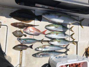 さぶろう丸 釣果