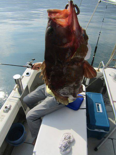 Fisherman Dreams DI 釣果