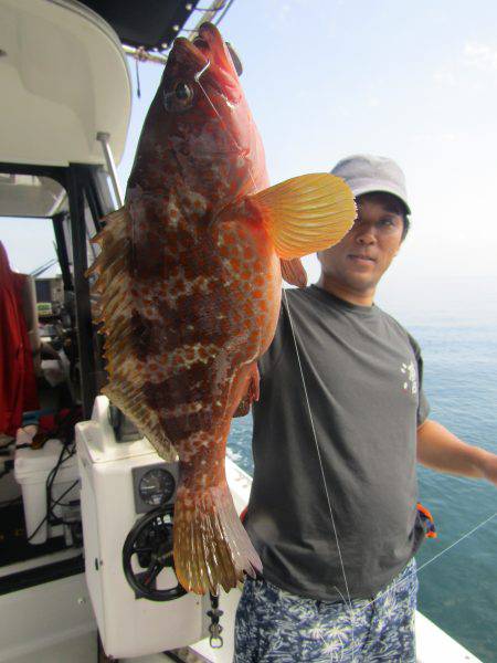 Fisherman Dreams DI 釣果