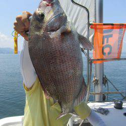 Fisherman Dreams DI 釣果