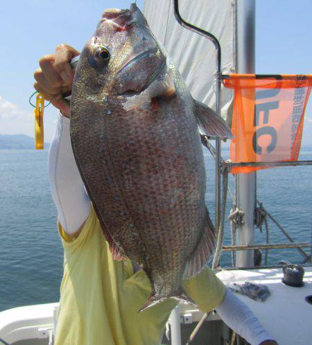 Fisherman Dreams DI 釣果