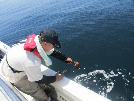 Fisherman Dreams DI 釣果