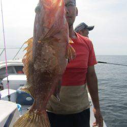 Fisherman Dreams DI 釣果