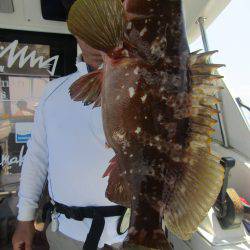 Fisherman Dreams DI 釣果