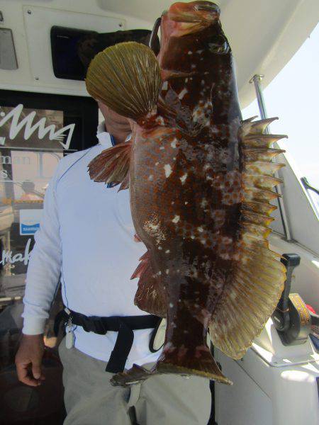 Fisherman Dreams DI 釣果