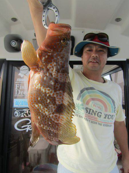 Fisherman Dreams DI 釣果