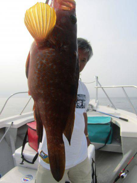 Fisherman Dreams DI 釣果